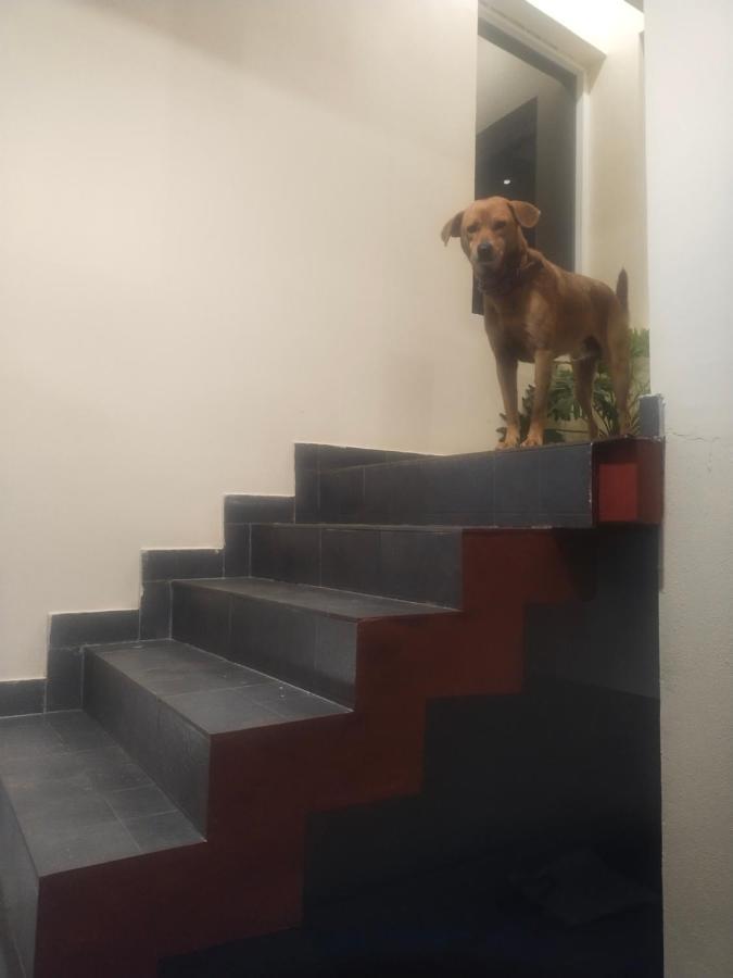 Two Bedroom House 마디케리 외부 사진